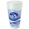 Dart Horizon Foam Cup, Hot/Cold, 20oz., Printed, Blueberry/White, PK500 20J16H - alternate 1